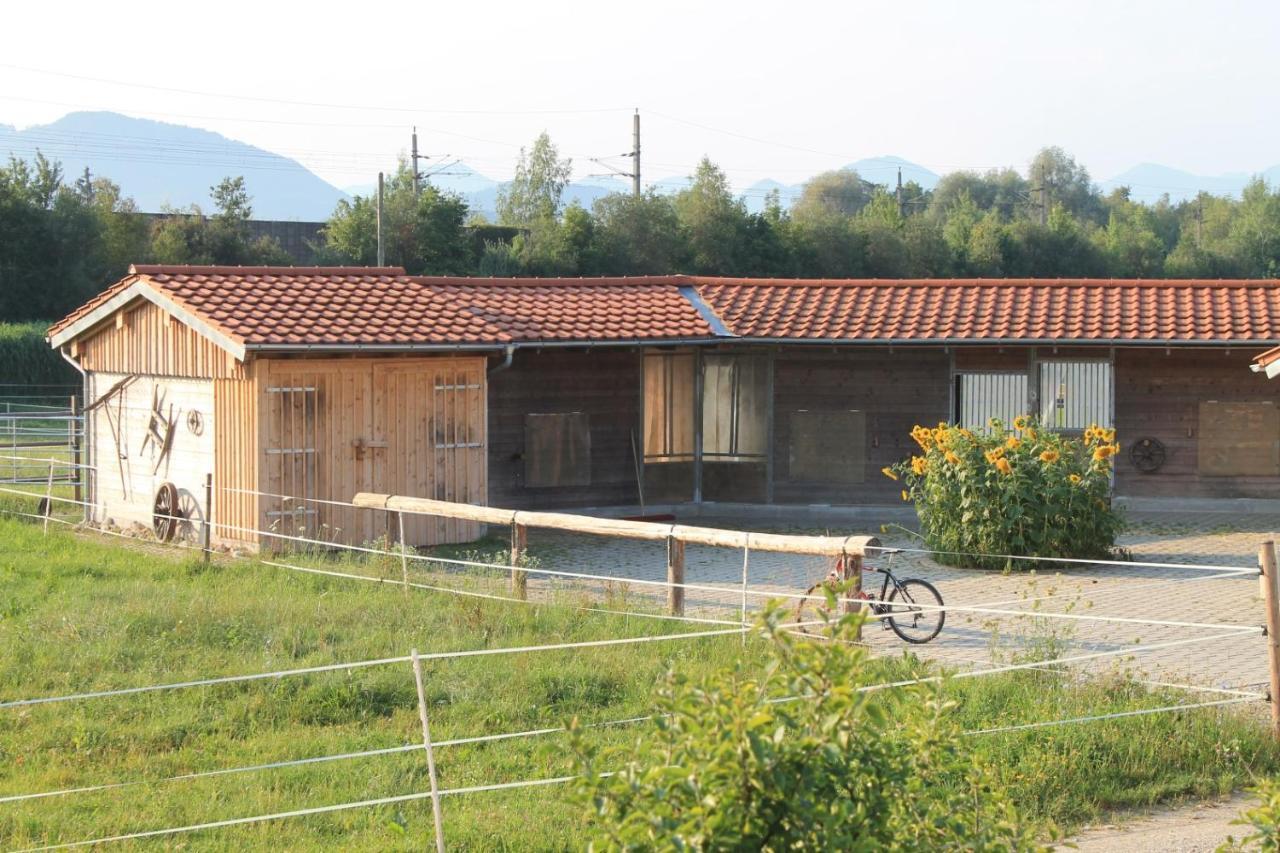 塞基兴Bio Archehof Zachhiesen公寓 外观 照片