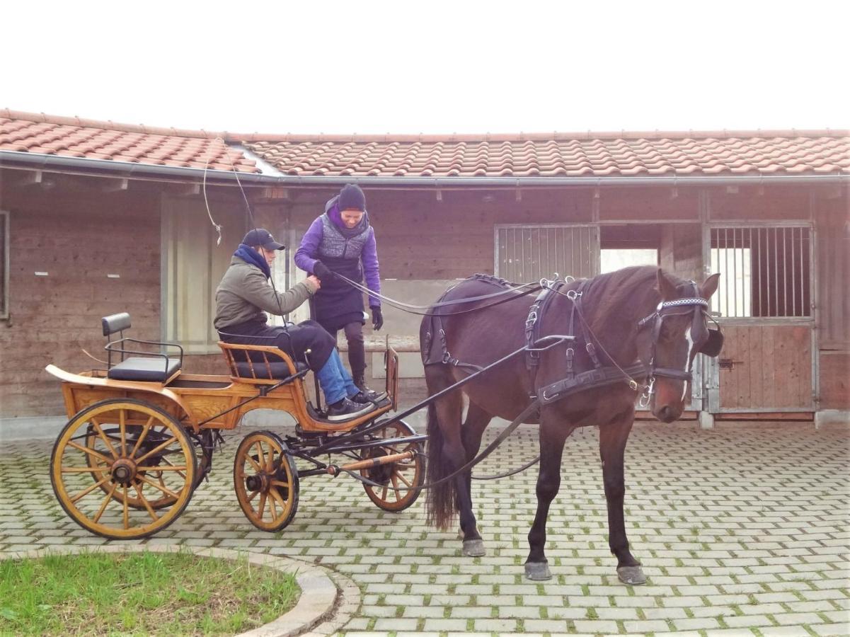 塞基兴Bio Archehof Zachhiesen公寓 外观 照片